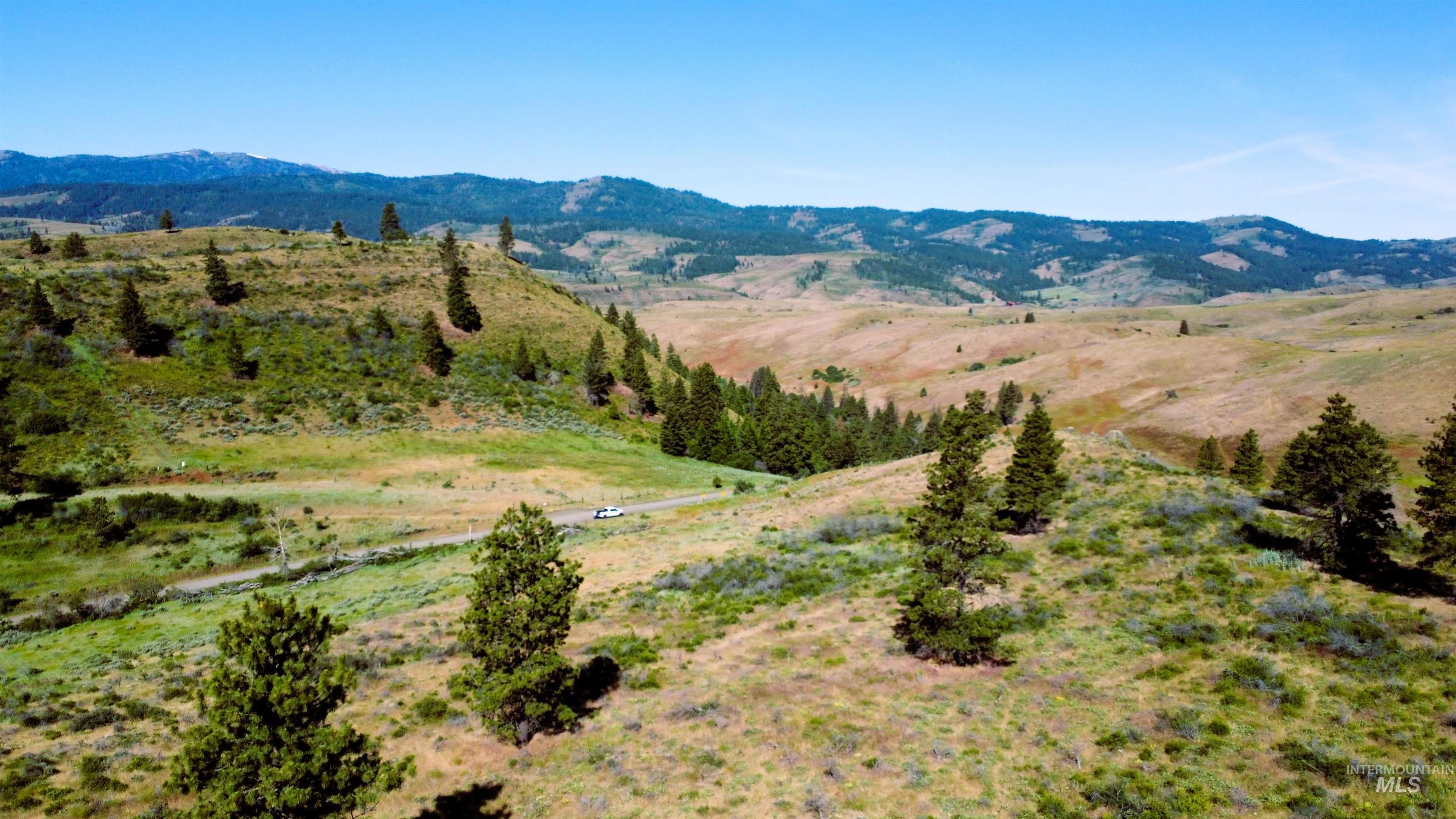 Tbd Advent Gulch Road Cambridge, ID 83610 - Photo 2 of 24