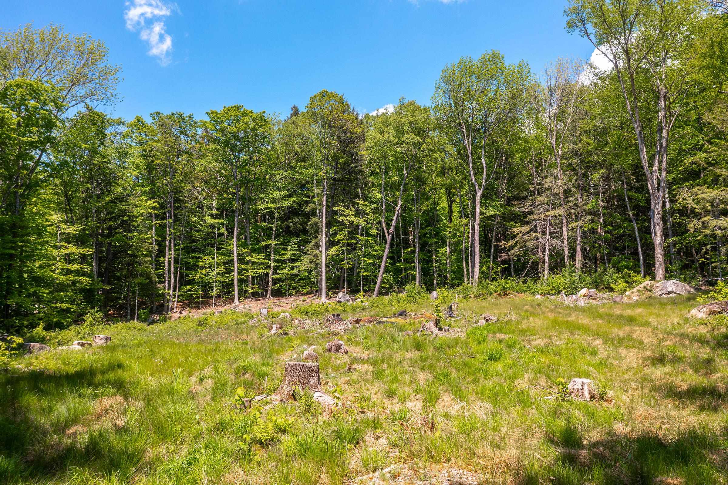 585 Sawmill Road West Wardsboro, VT 05360 - Photo 8 of 15