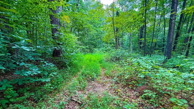 $124,900 | 5718 Harrington, Freedom, IN 47431