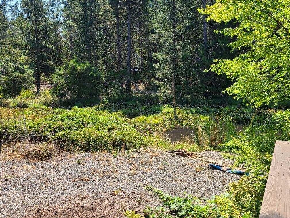 495 O Brien Road O'Brien, OR 97534 - Photo 12 of 14 Pond with wide angle