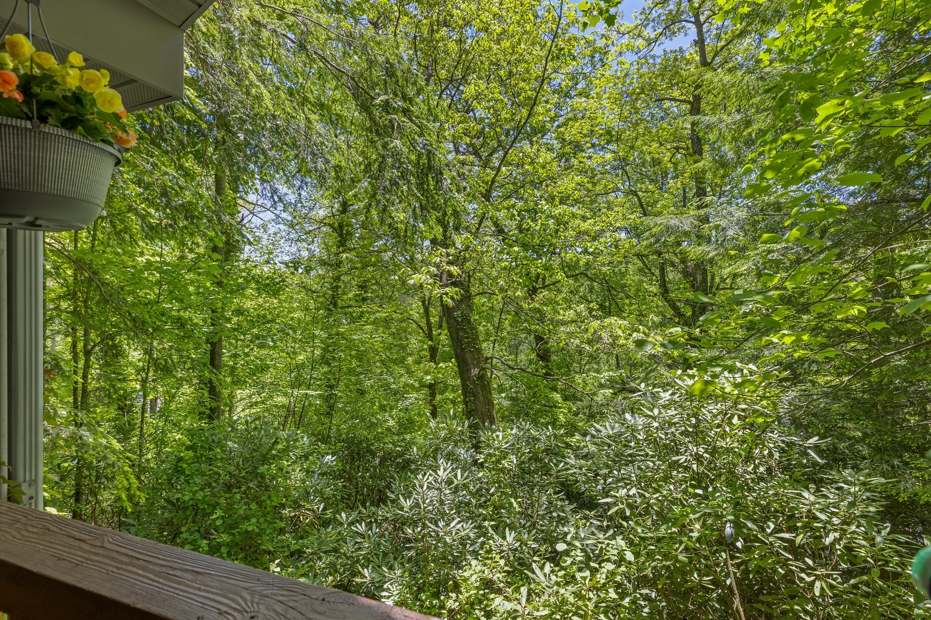 361 Wyanoak Road Highlands, NC 28741 - Photo 18 of 34 Treetop views