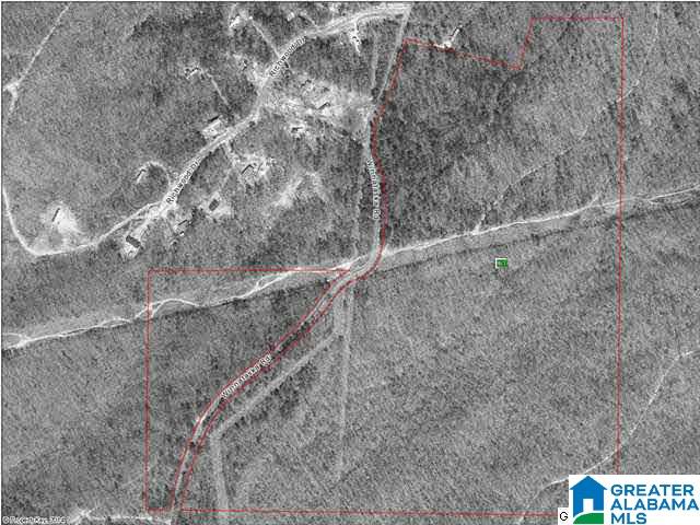 Camp Winnataska Road, Unit 13 4 Pell City, AL 35125 - Photo 2 of 3