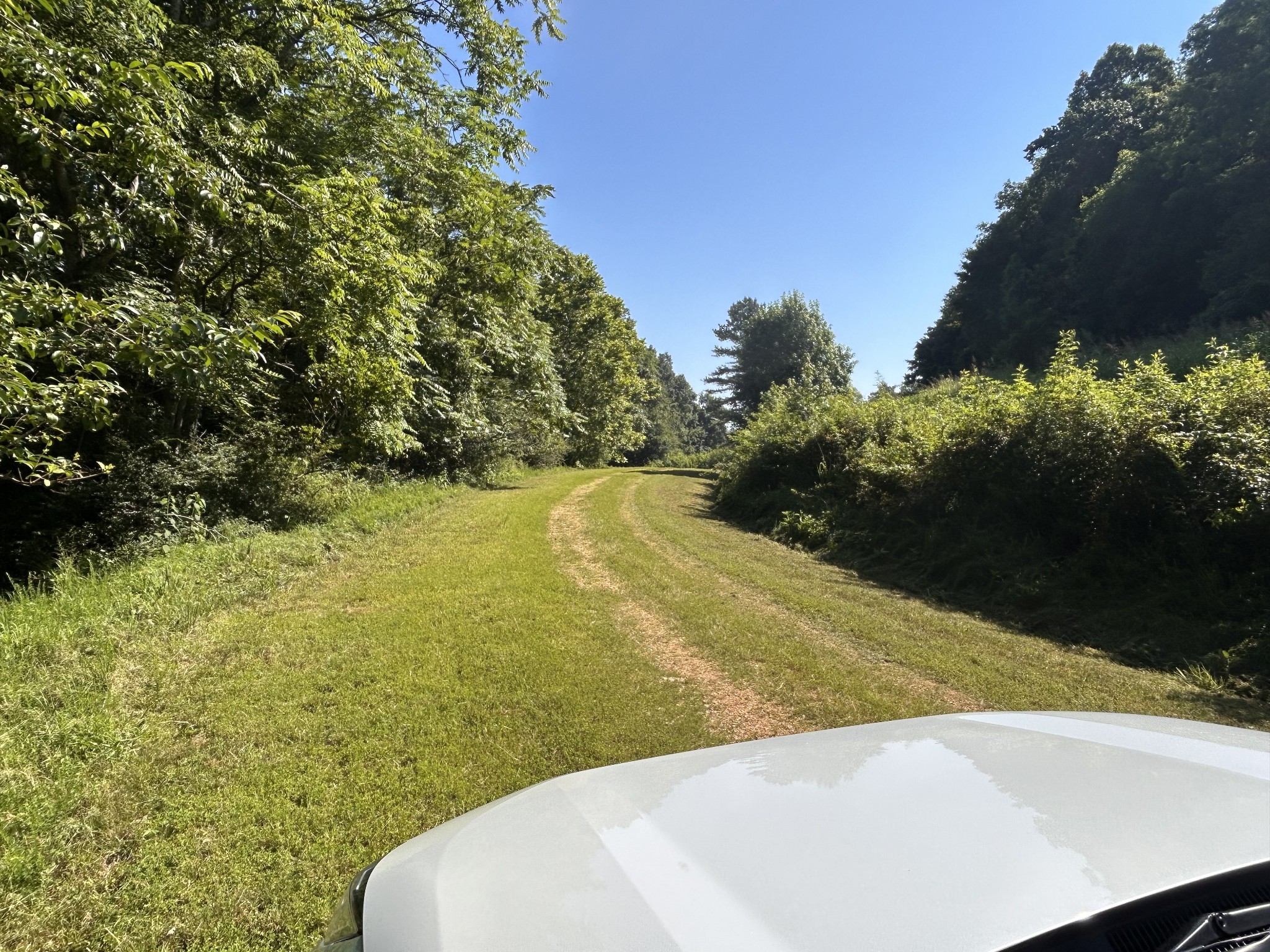 0 East Cave Spring Road Pulaski, TN 38478 - Photo 11 of 93