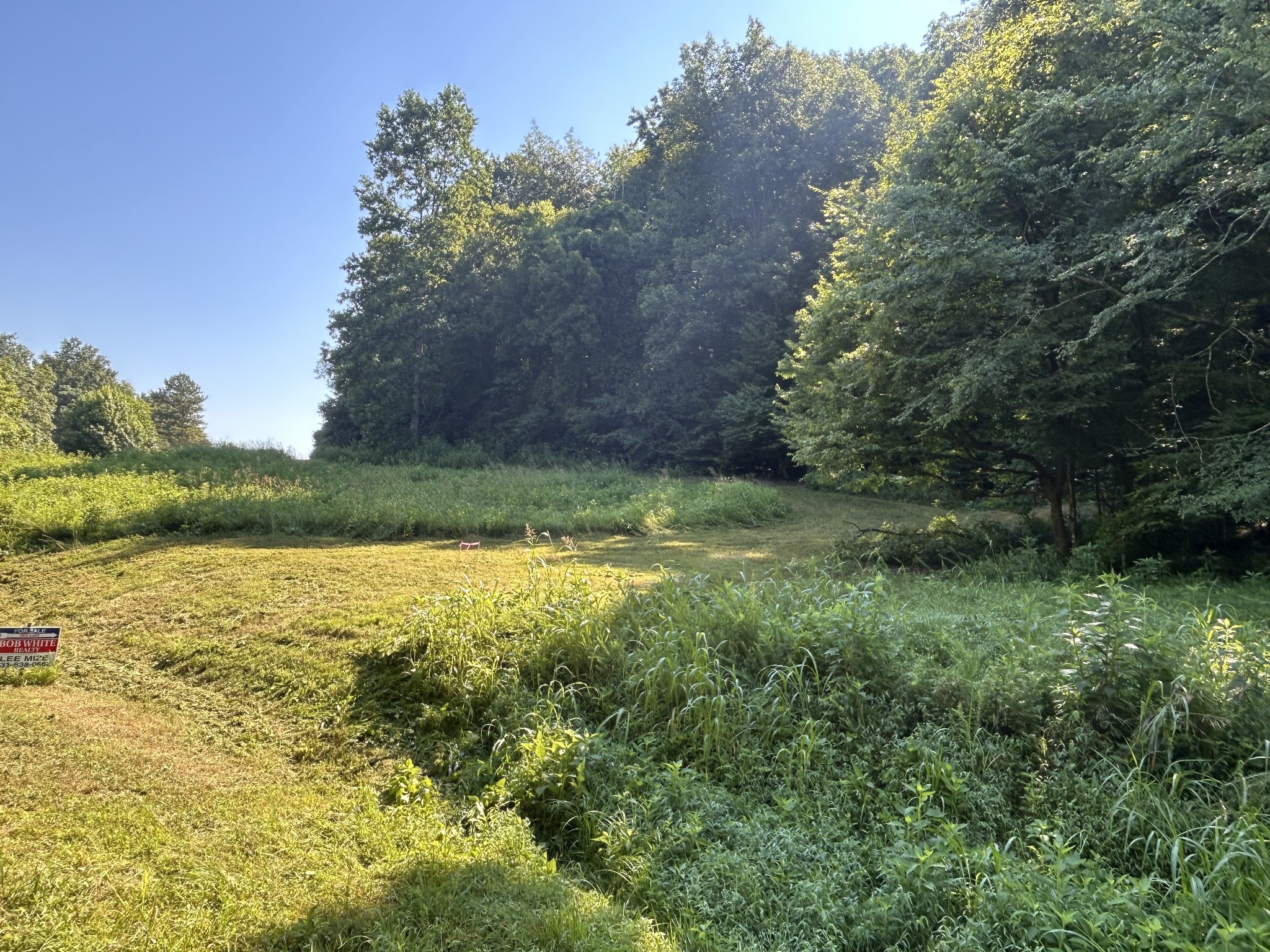 0 East Cave Spring Road Pulaski, TN 38478 - Photo 12 of 93