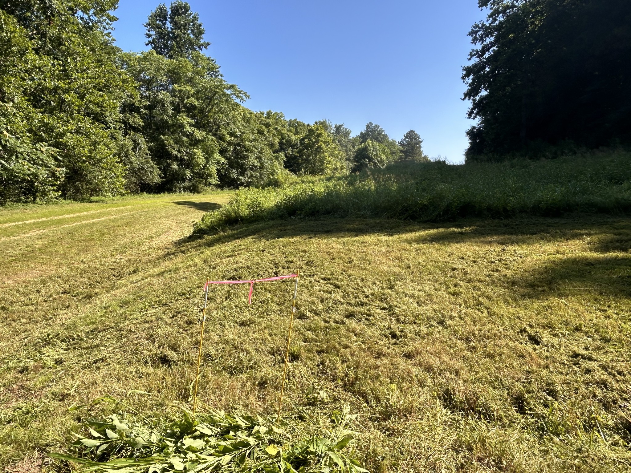 0 East Cave Spring Road Pulaski, TN 38478 - Photo 15 of 93