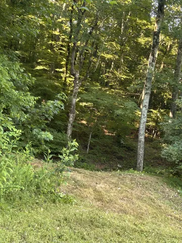 $167,500 | 0 East Cave Spring Road, Pulaski, TN 38478