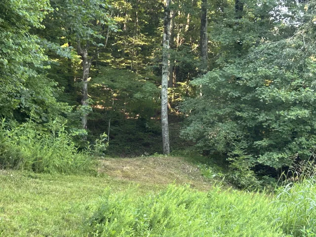 $167,500 | 0 East Cave Spring Road, Pulaski, TN 38478