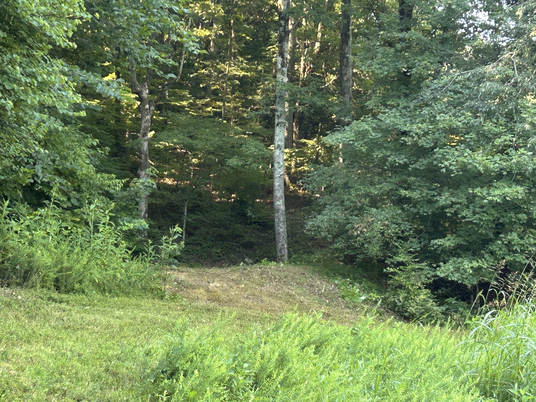 0 East Cave Spring Road Pulaski, TN 38478 - Photo 20 of 93