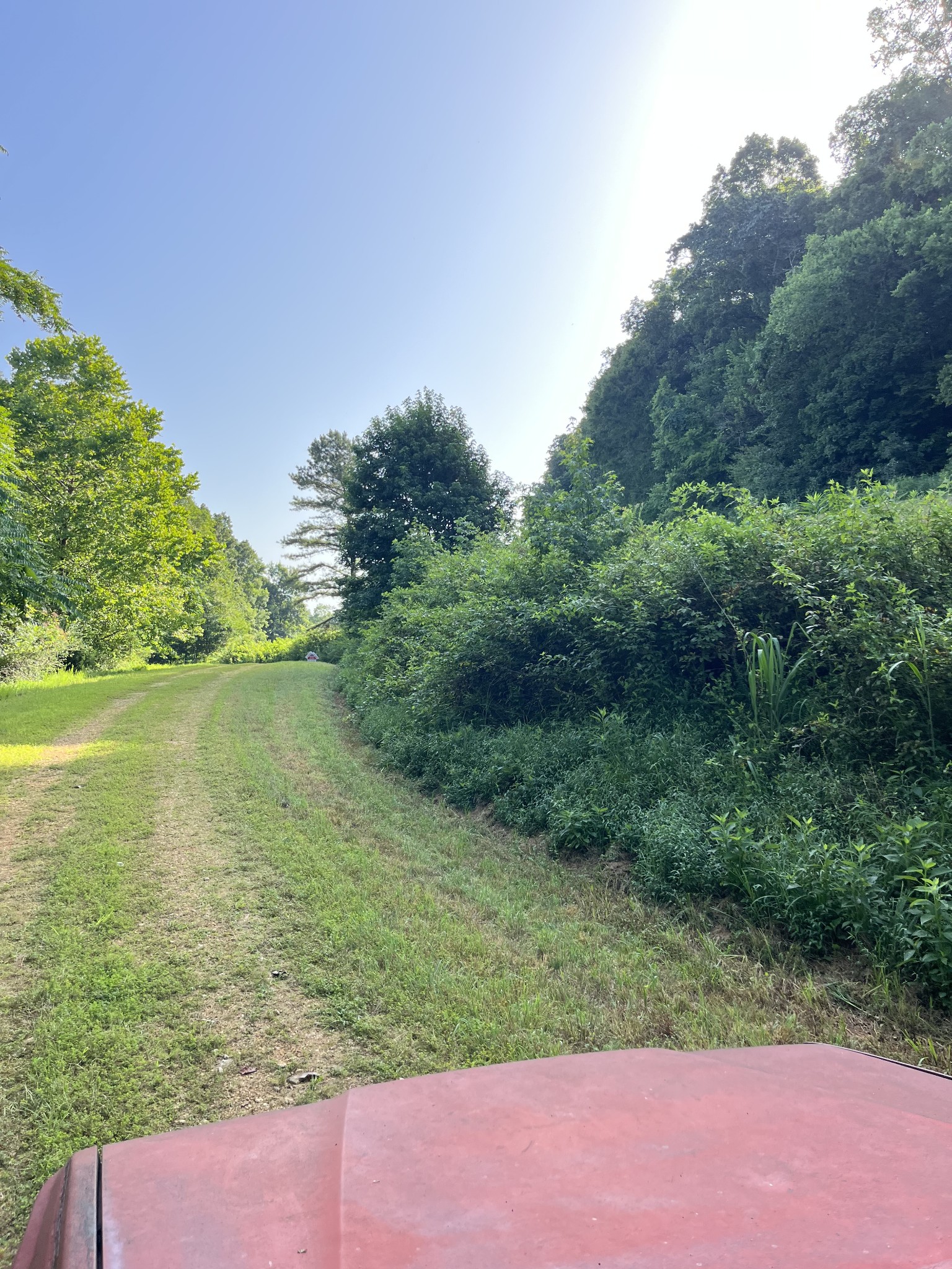 0 East Cave Spring Road Pulaski, TN 38478 - Photo 2 of 93