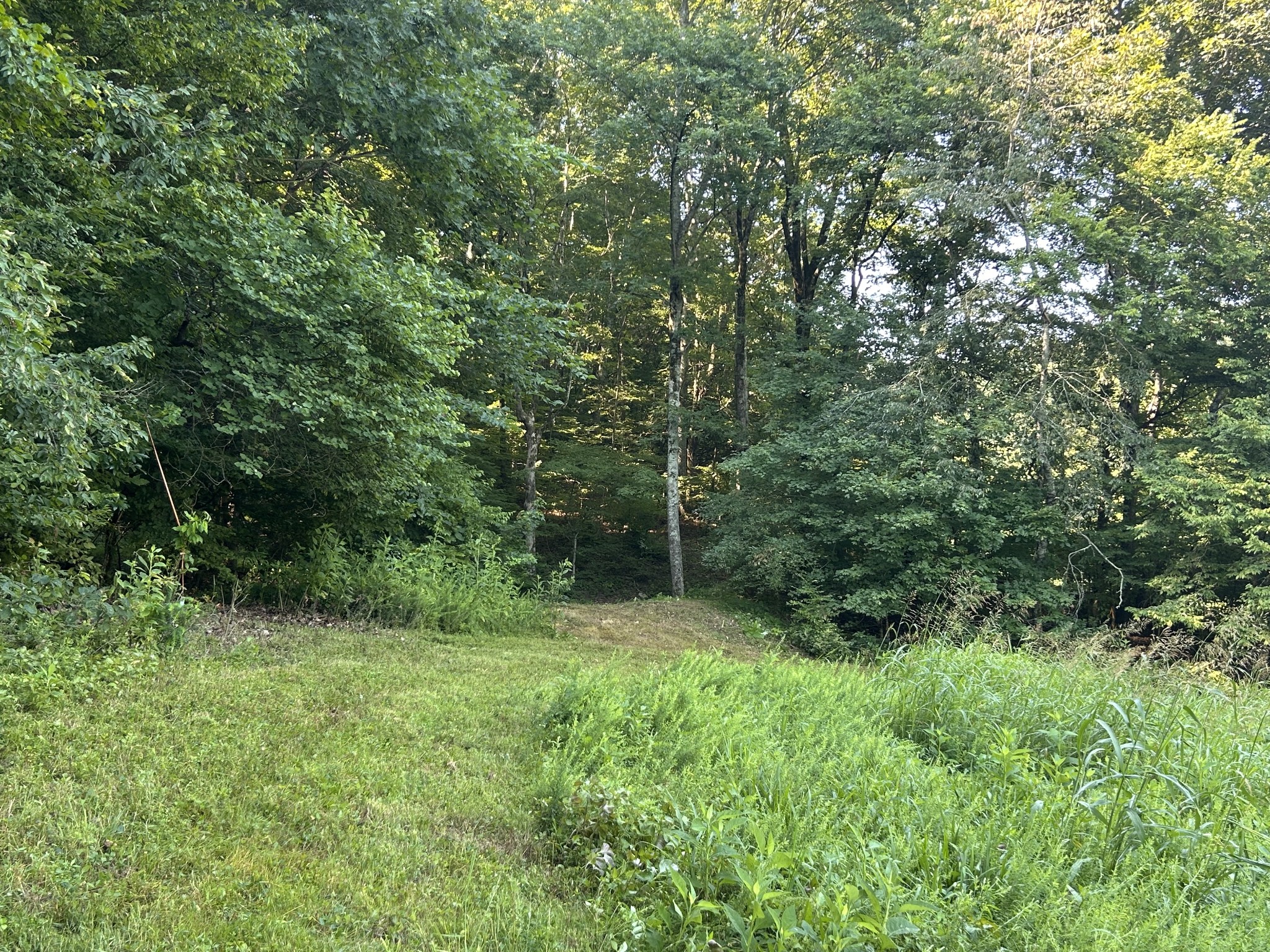 0 East Cave Spring Road Pulaski, TN 38478 - Photo 21 of 93