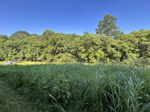 $167,500 | 0 East Cave Spring Road, Pulaski, TN 38478