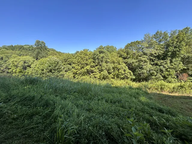 $167,500 | 0 East Cave Spring Road, Pulaski, TN 38478