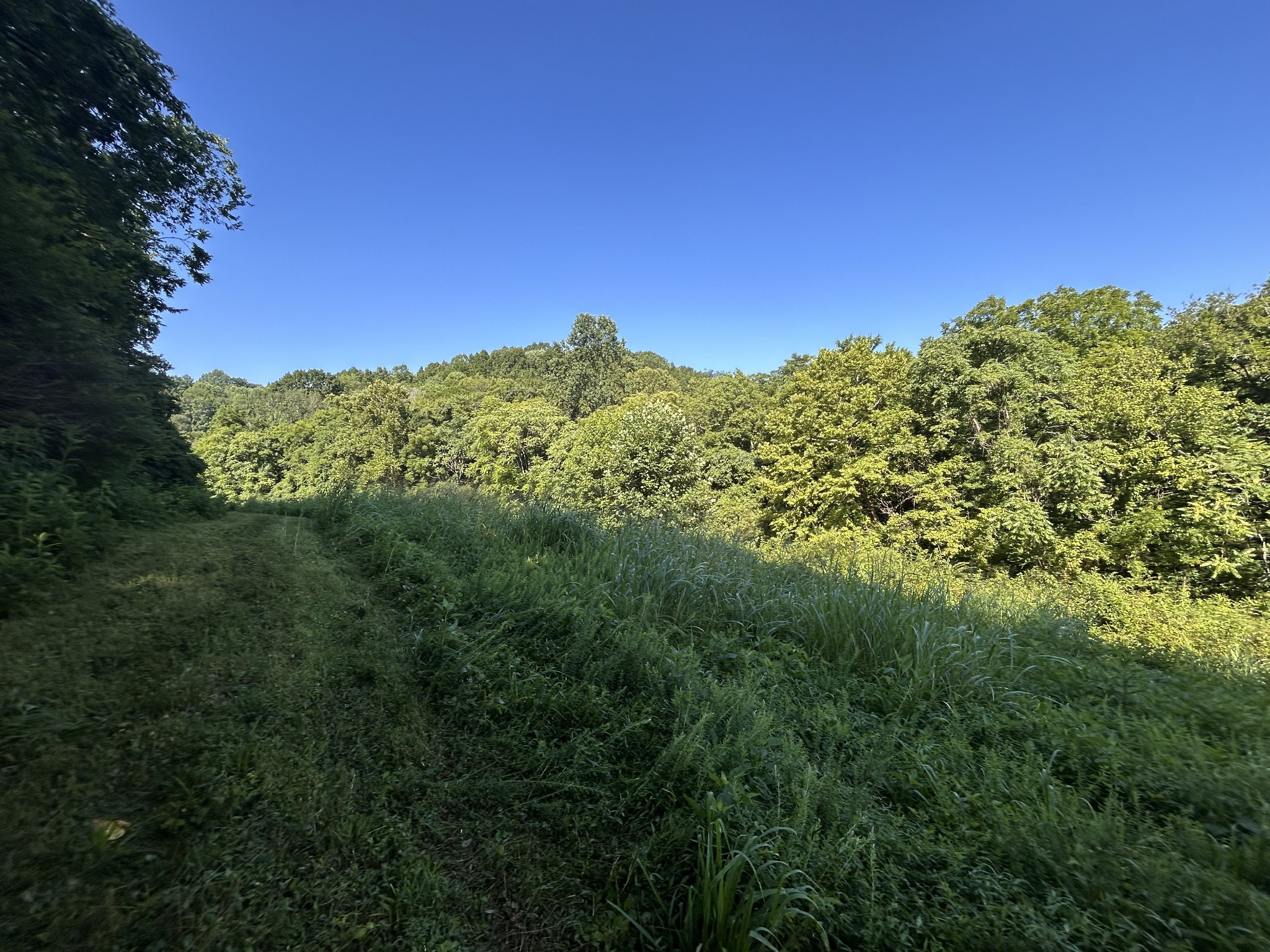 0 East Cave Spring Road Pulaski, TN 38478 - Photo 27 of 93