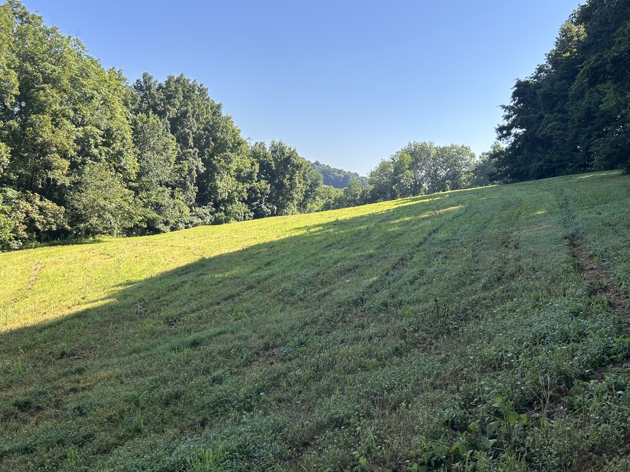 0 East Cave Spring Road Pulaski, TN 38478 - Photo 28 of 93