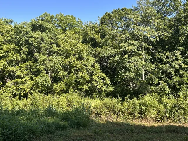 $167,500 | 0 East Cave Spring Road, Pulaski, TN 38478