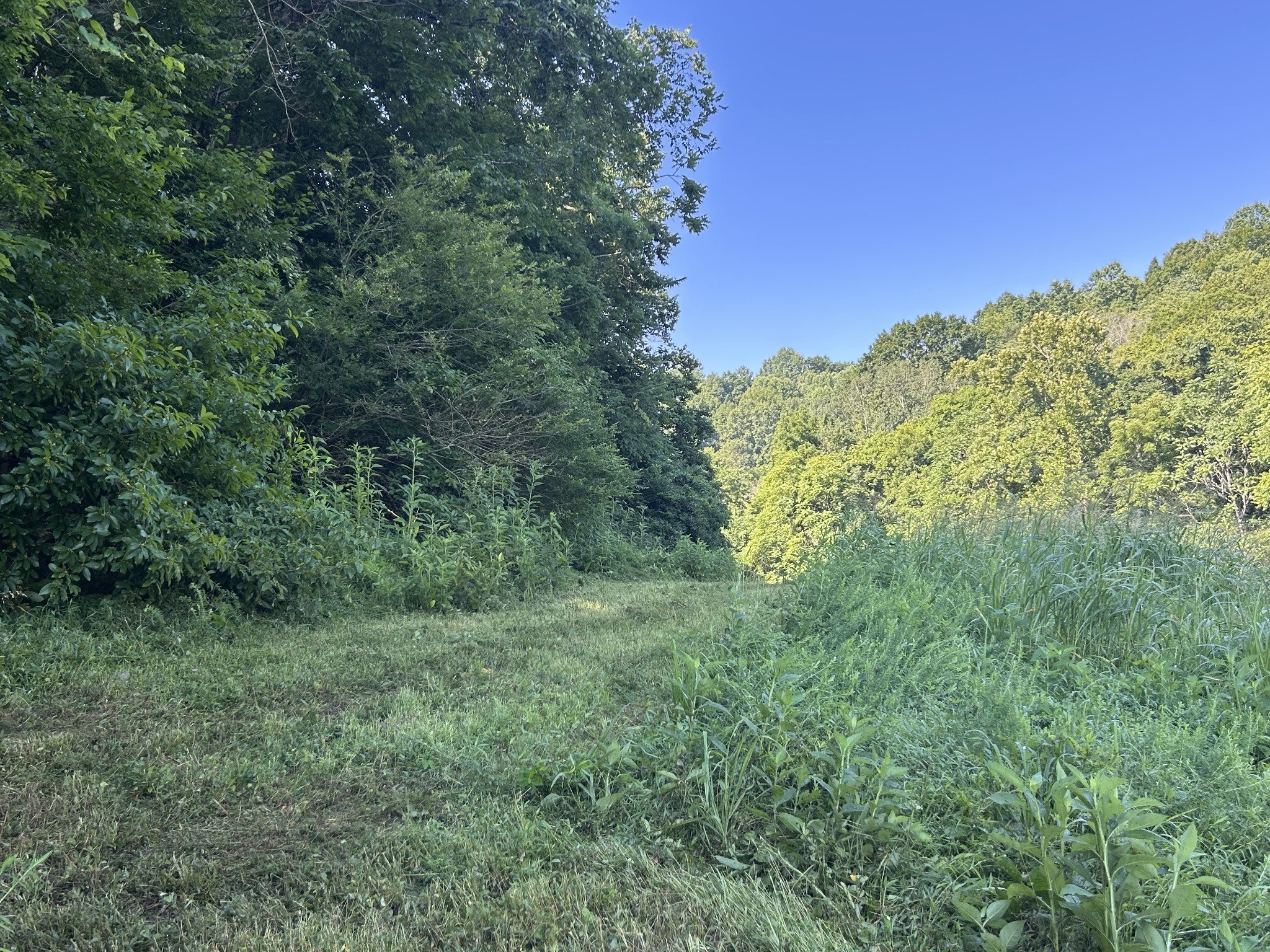 0 East Cave Spring Road Pulaski, TN 38478 - Photo 31 of 93