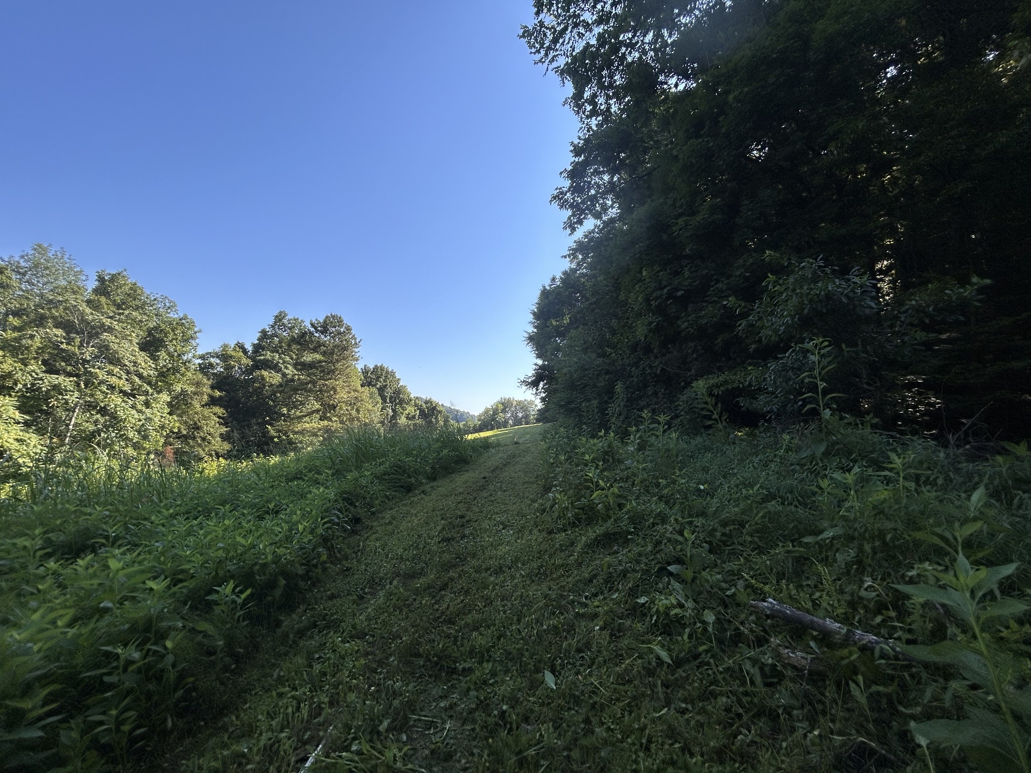 0 East Cave Spring Road Pulaski, TN 38478 - Photo 33 of 93