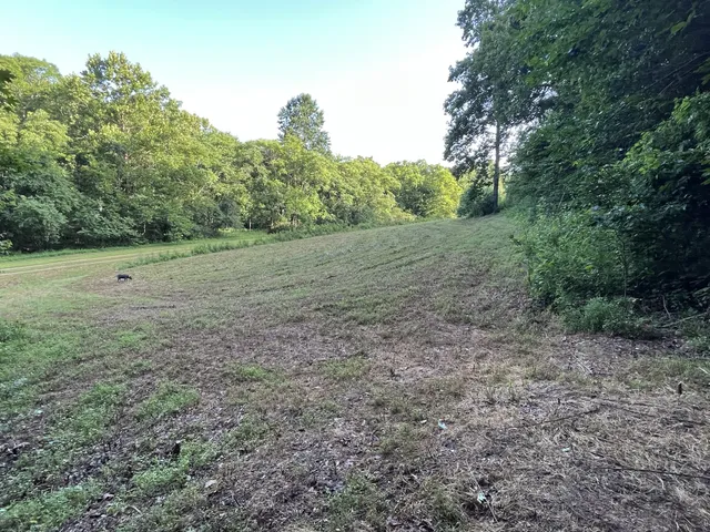 $167,500 | 0 East Cave Spring Road, Pulaski, TN 38478