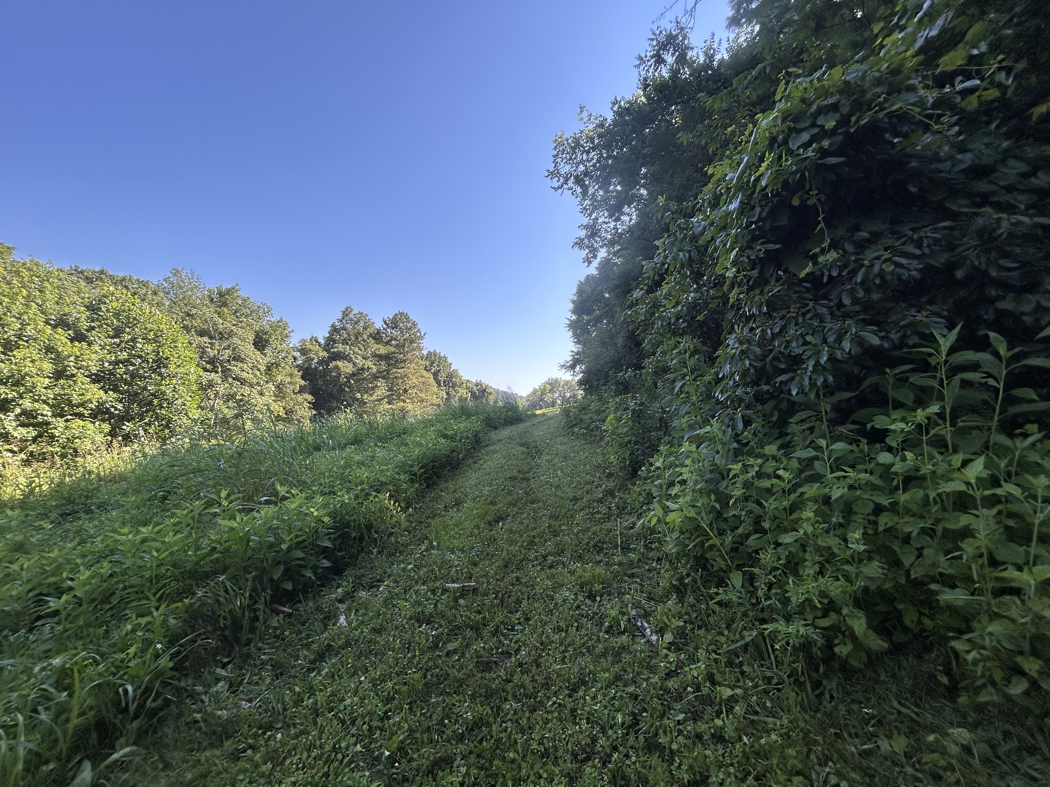 0 East Cave Spring Road Pulaski, TN 38478 - Photo 35 of 93