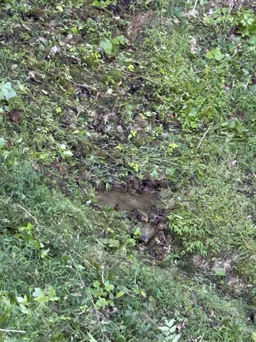 $167,500 | 0 East Cave Spring Road, Pulaski, TN 38478