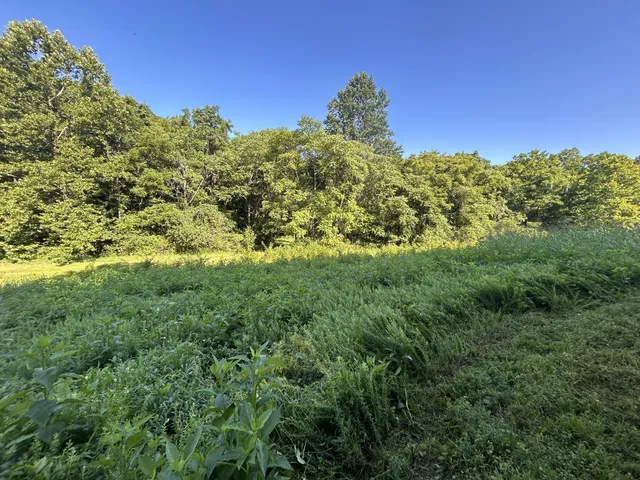 $167,500 | 0 East Cave Spring Road, Pulaski, TN 38478