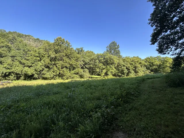 $167,500 | 0 East Cave Spring Road, Pulaski, TN 38478