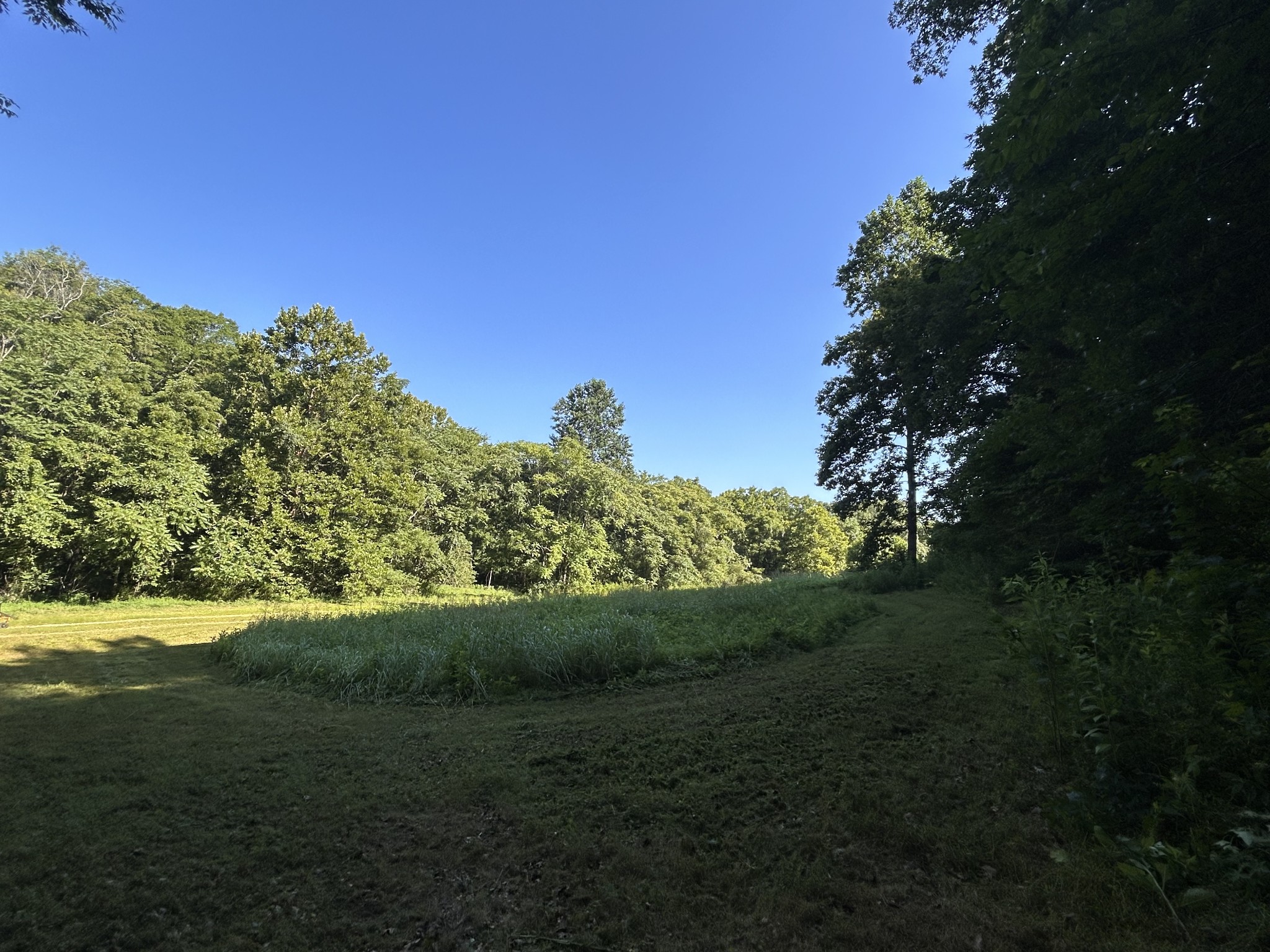 0 East Cave Spring Road Pulaski, TN 38478 - Photo 47 of 93