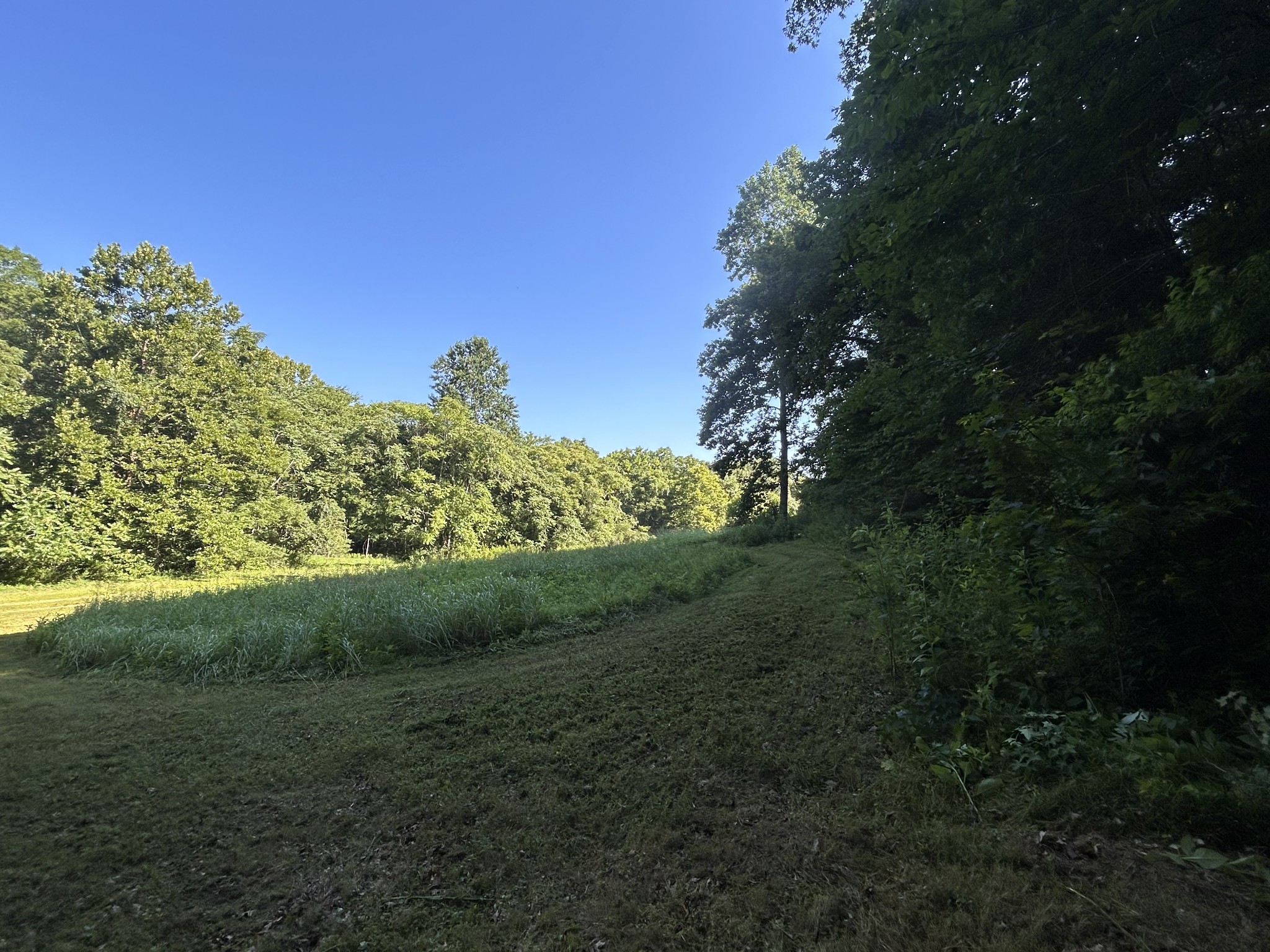 0 East Cave Spring Road Pulaski, TN 38478 - Photo 48 of 93