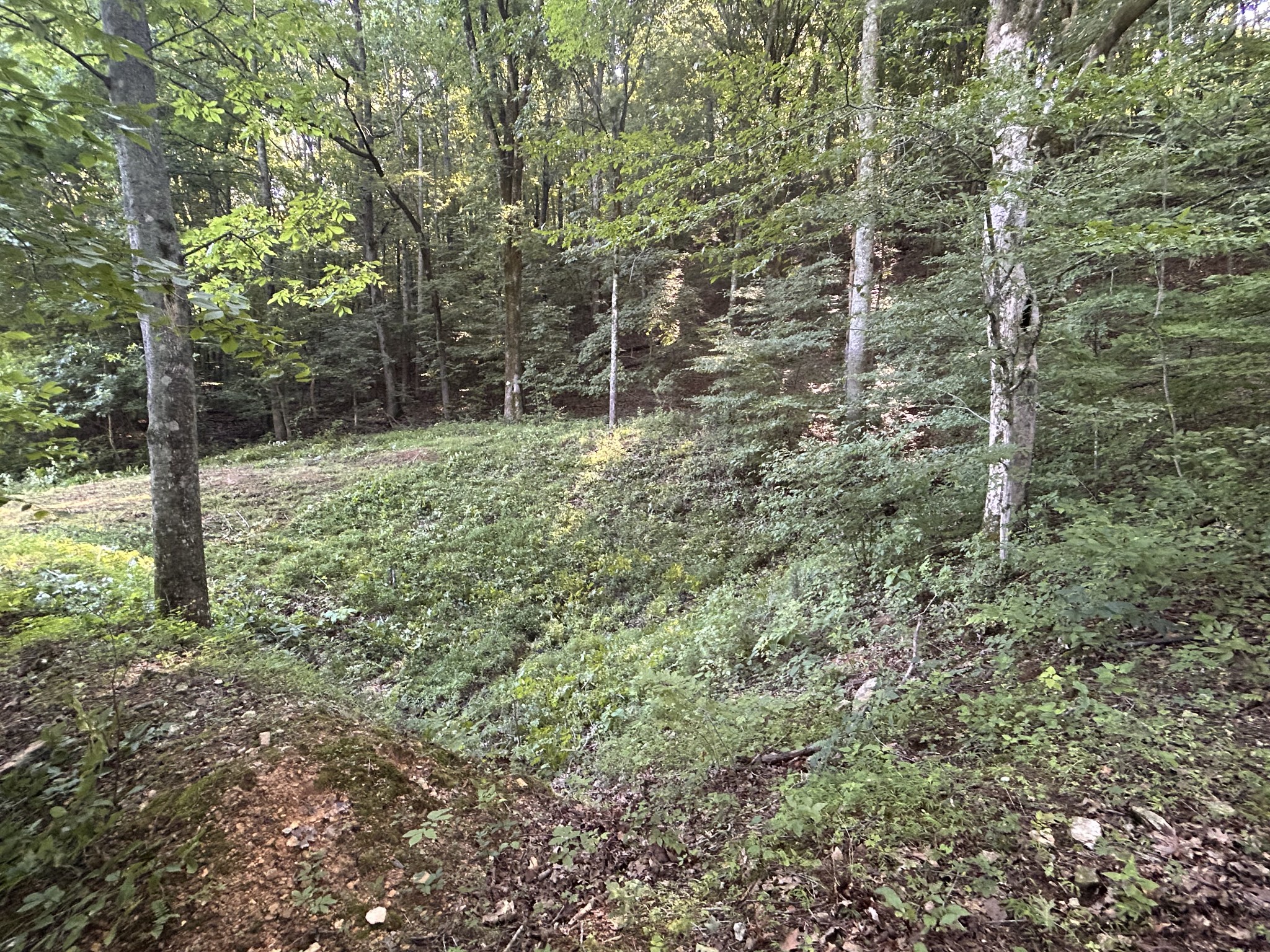 0 East Cave Spring Road Pulaski, TN 38478 - Photo 50 of 93