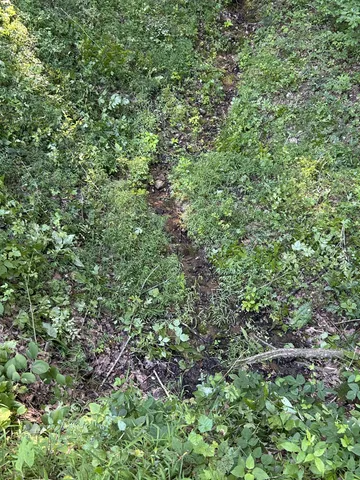 $167,500 | 0 East Cave Spring Road, Pulaski, TN 38478