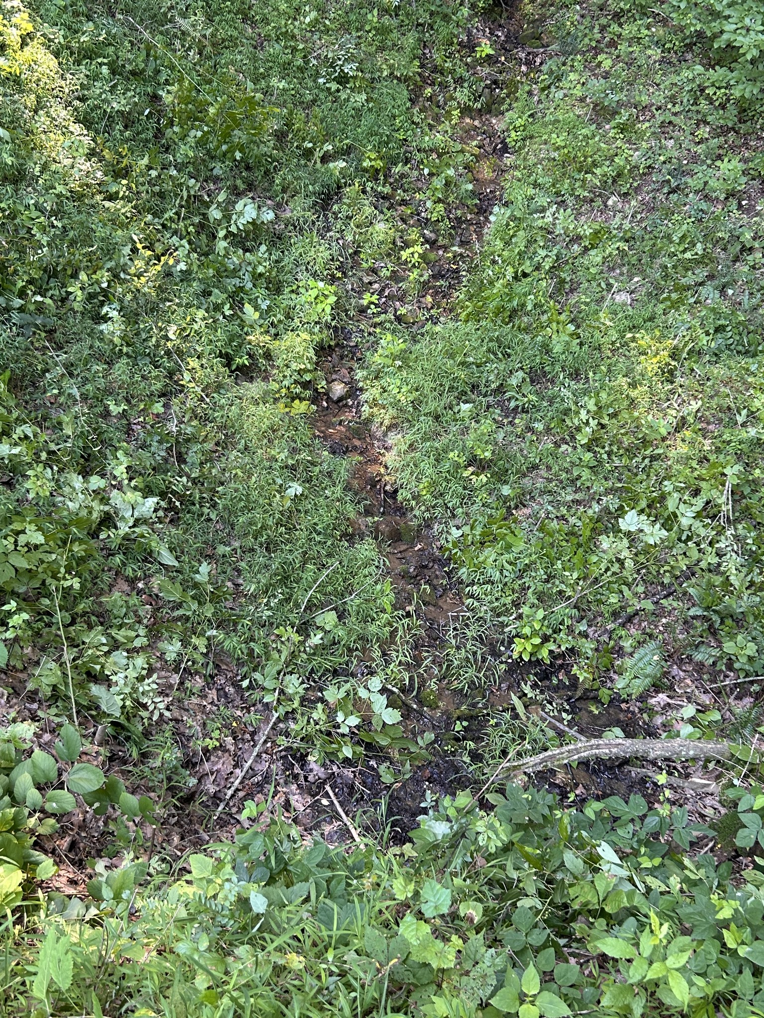 0 East Cave Spring Road Pulaski, TN 38478 - Photo 55 of 93