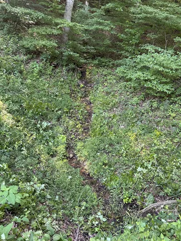 $167,500 | 0 East Cave Spring Road, Pulaski, TN 38478