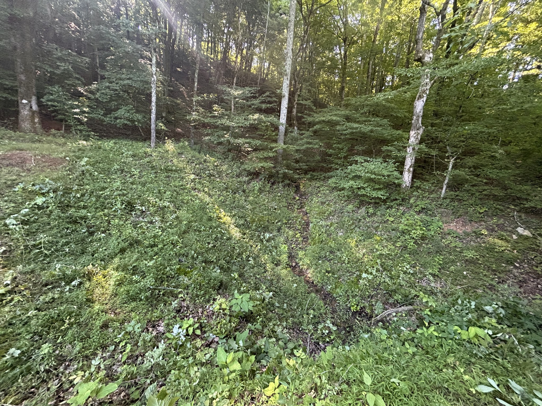 0 East Cave Spring Road Pulaski, TN 38478 - Photo 57 of 93