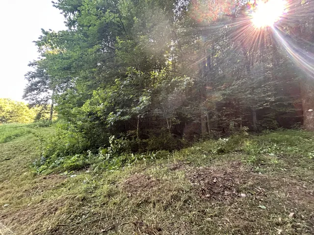 $167,500 | 0 East Cave Spring Road, Pulaski, TN 38478