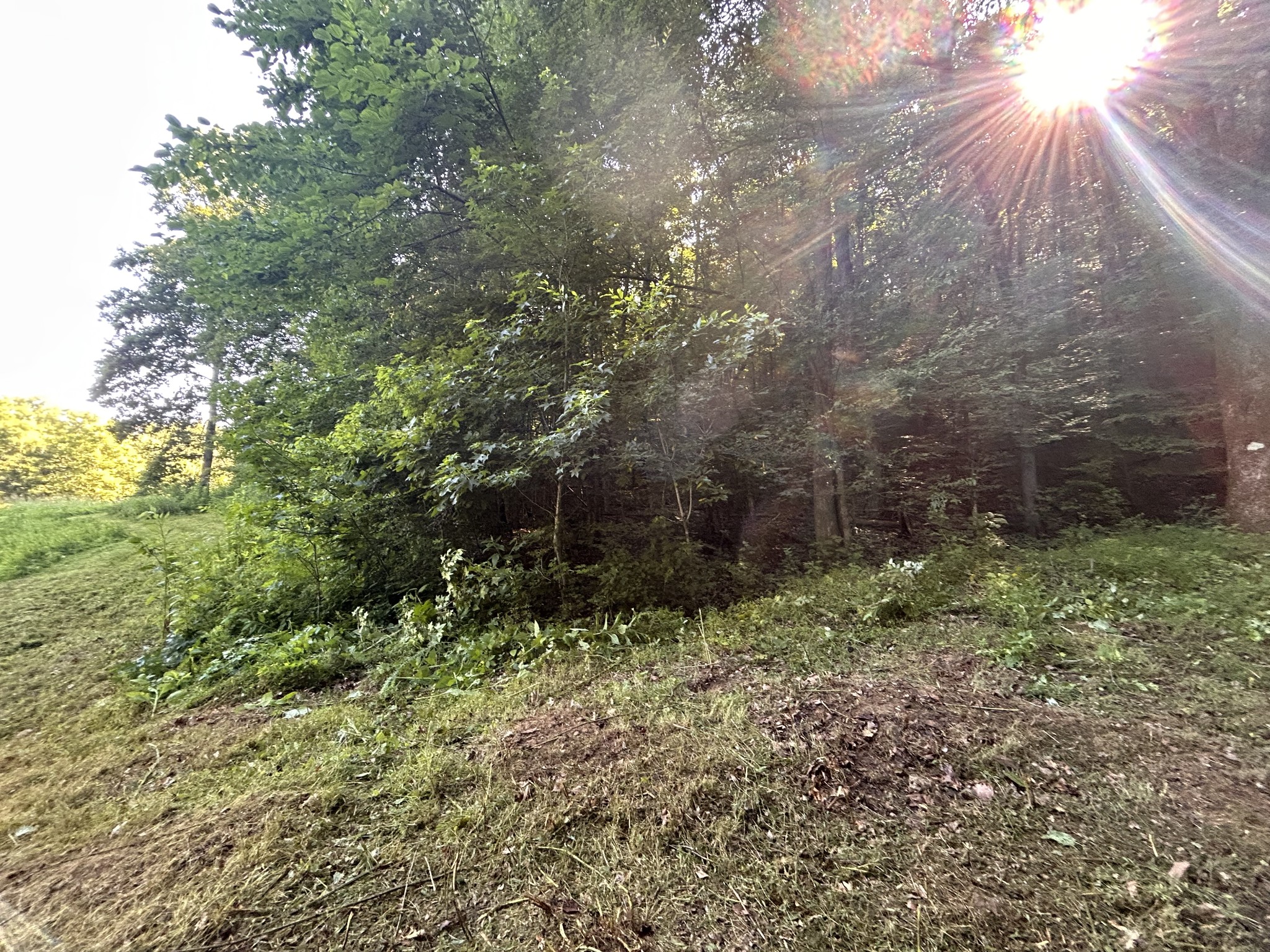 0 East Cave Spring Road Pulaski, TN 38478 - Photo 58 of 93