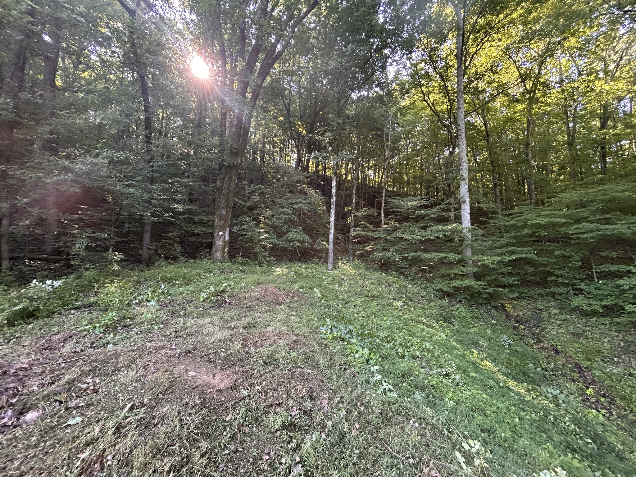 0 East Cave Spring Road Pulaski, TN 38478 - Photo 59 of 93