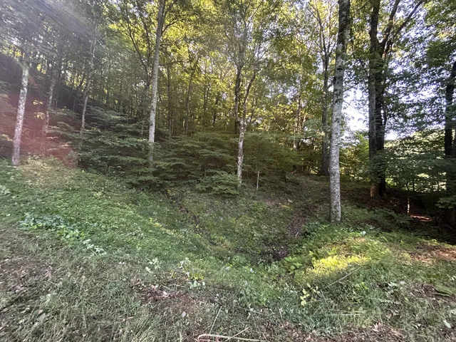 $167,500 | 0 East Cave Spring Road, Pulaski, TN 38478