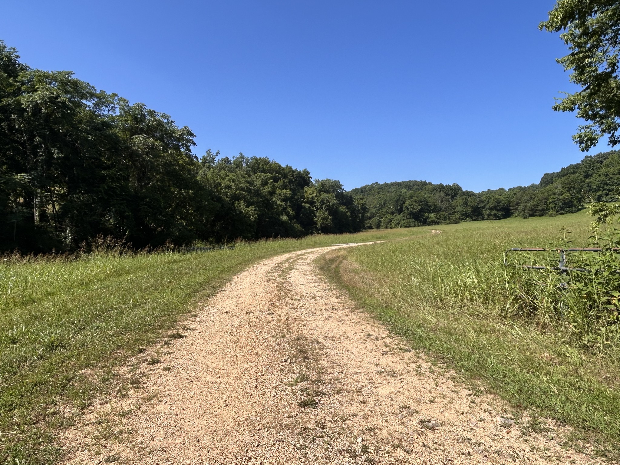 0 East Cave Spring Road Pulaski, TN 38478 - Photo 6 of 93