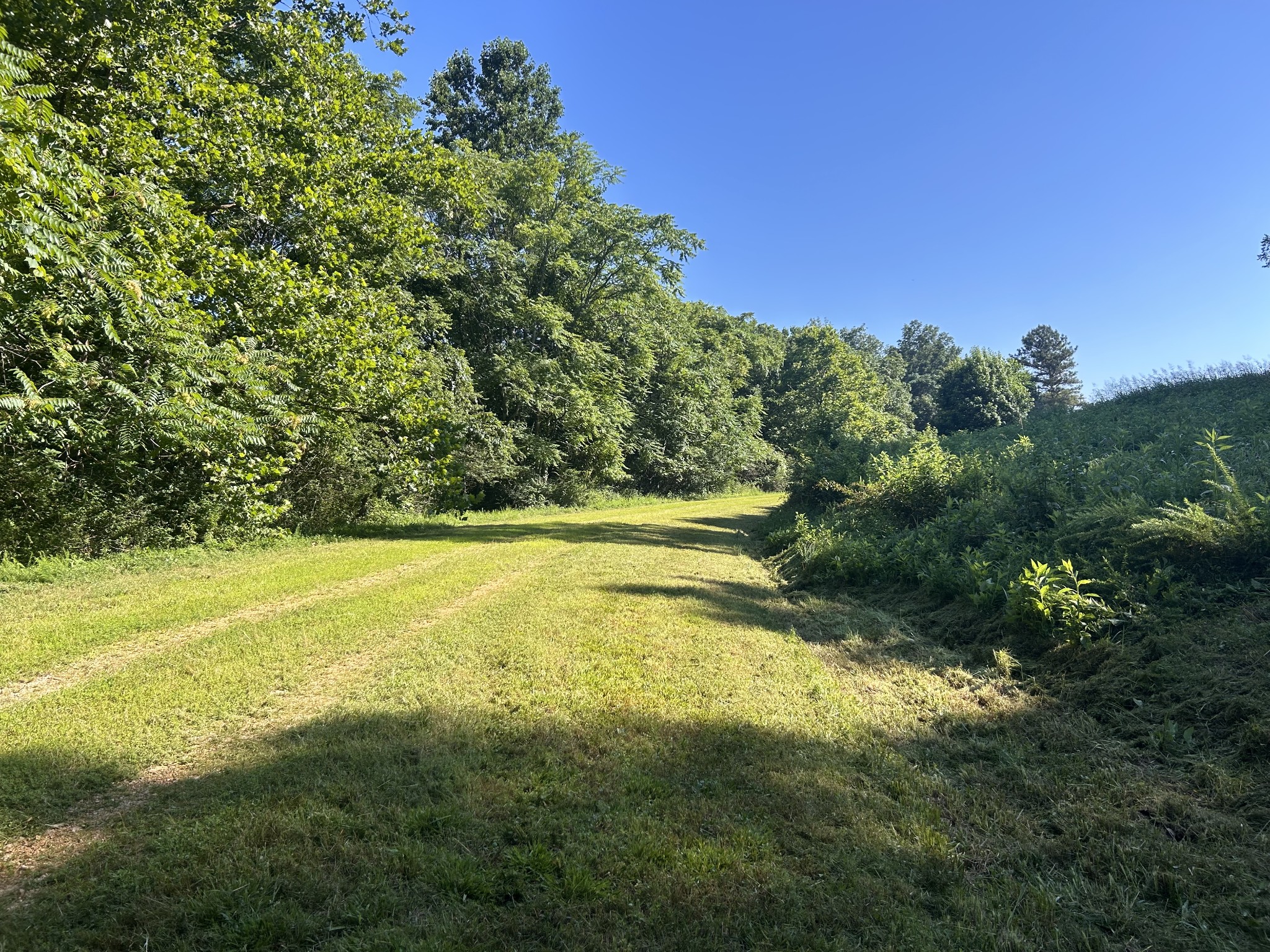 0 East Cave Spring Road Pulaski, TN 38478 - Photo 64 of 93