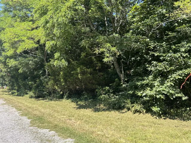$167,500 | 0 East Cave Spring Road, Pulaski, TN 38478