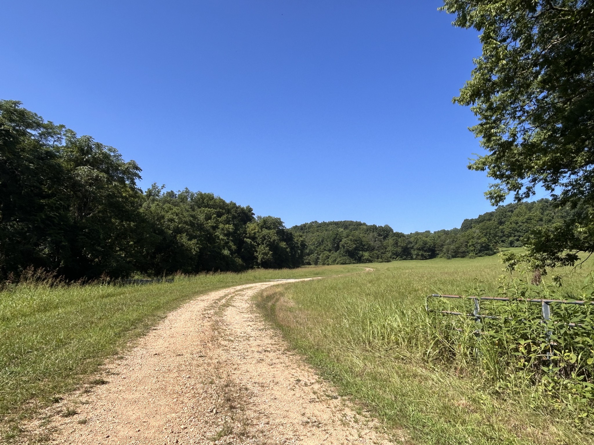 0 East Cave Spring Road Pulaski, TN 38478 - Photo 7 of 93