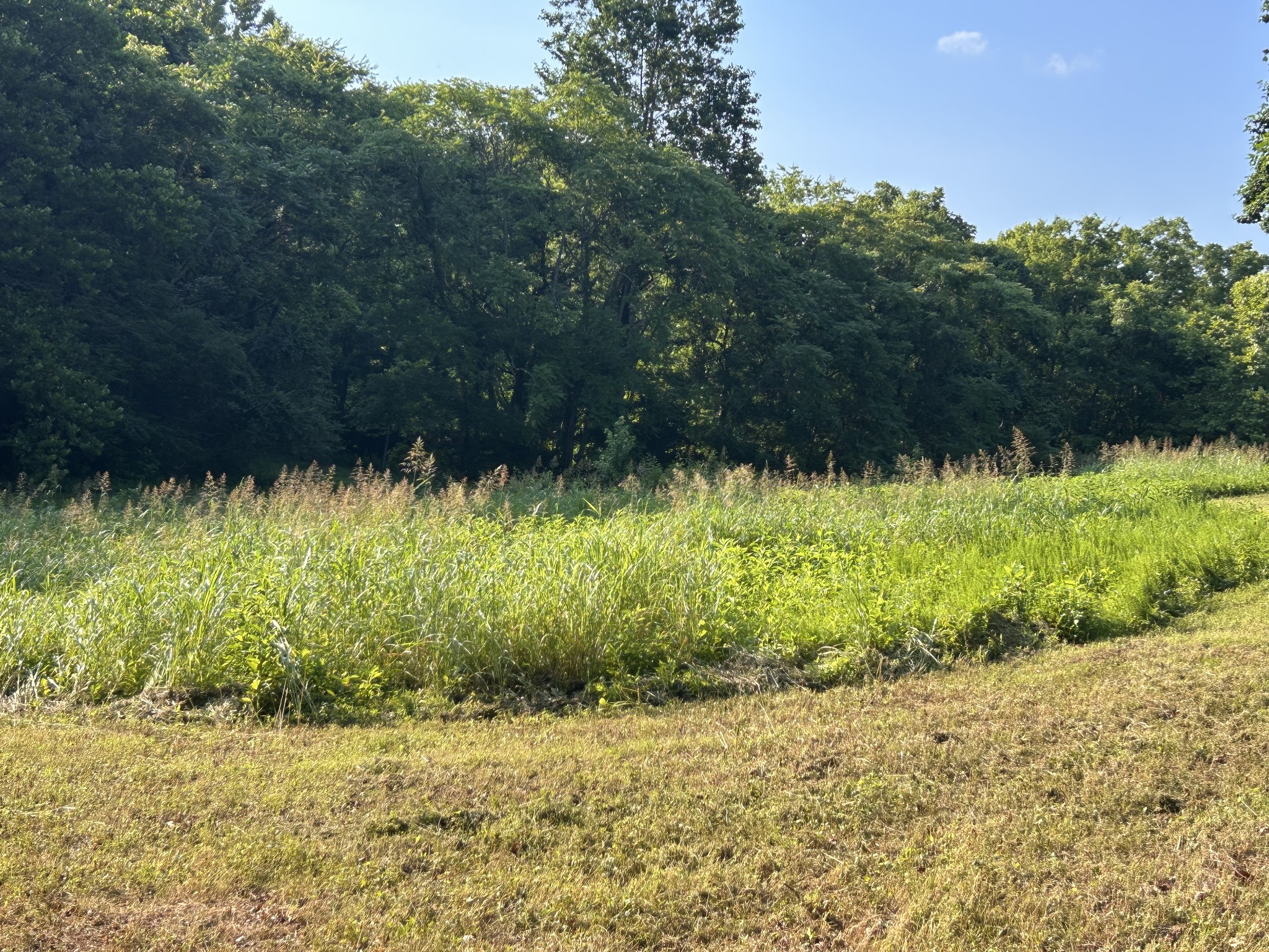 0 East Cave Spring Road Pulaski, TN 38478 - Photo 72 of 93