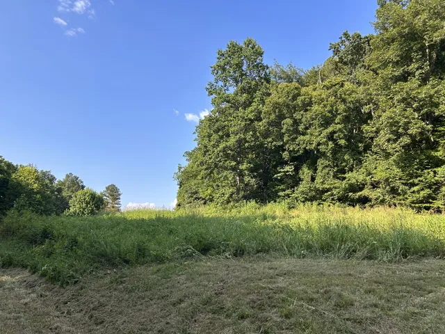 $167,500 | 0 East Cave Spring Road, Pulaski, TN 38478