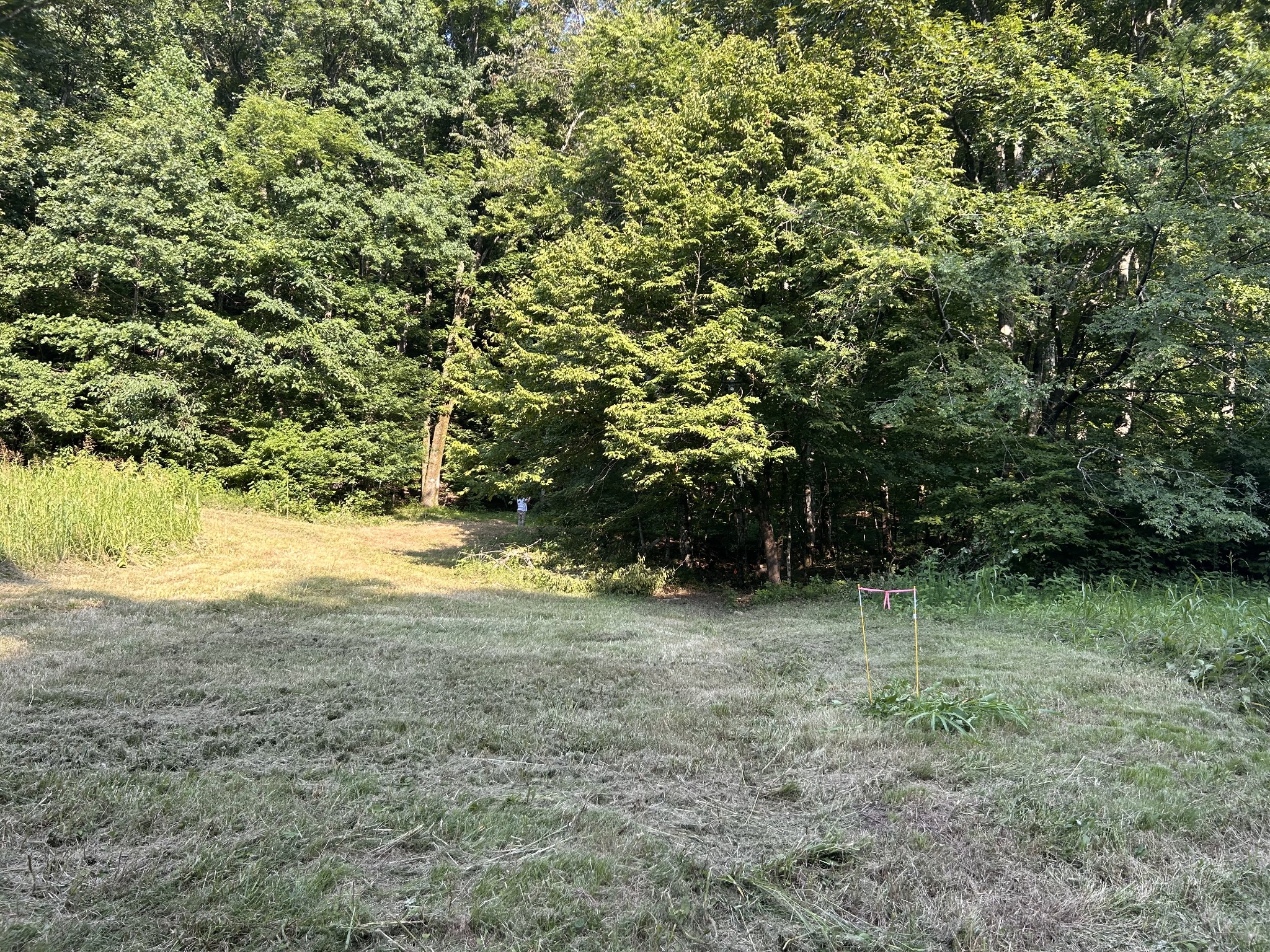 0 East Cave Spring Road Pulaski, TN 38478 - Photo 77 of 93