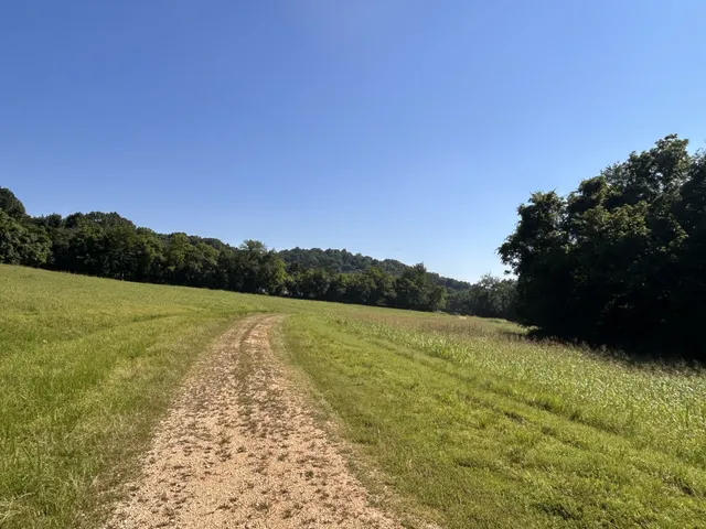 $167,500 | 0 East Cave Spring Road, Pulaski, TN 38478