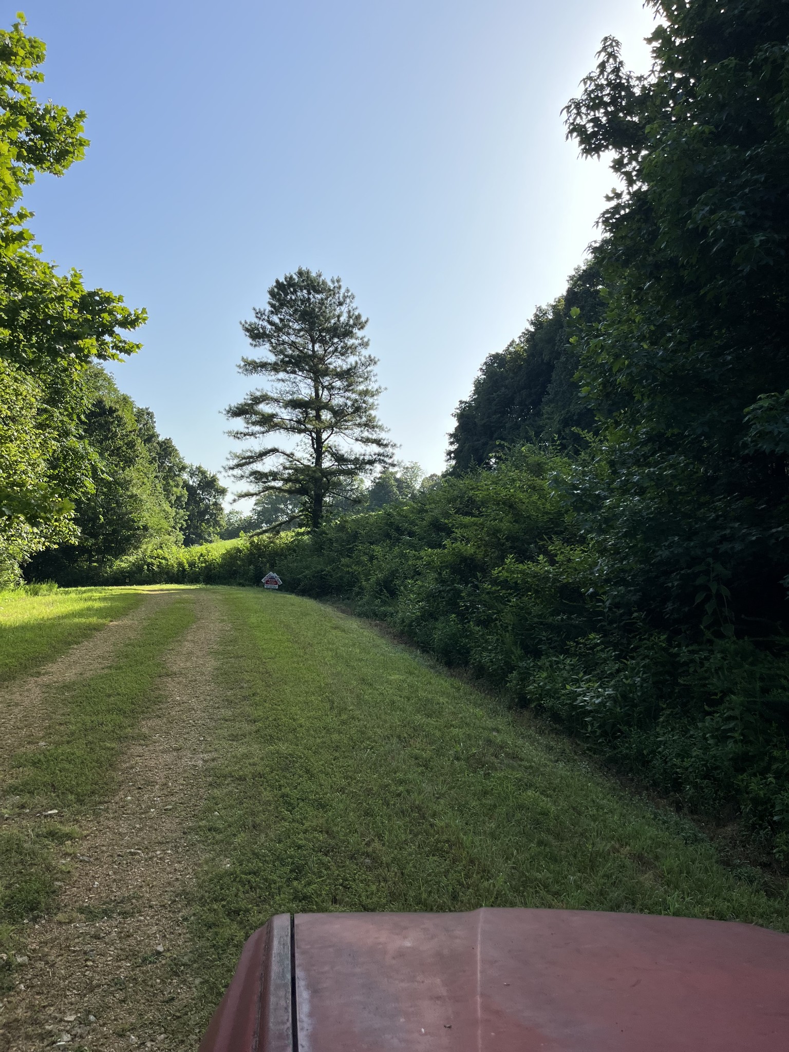 0 East Cave Spring Road Pulaski, TN 38478 - Photo 81 of 93