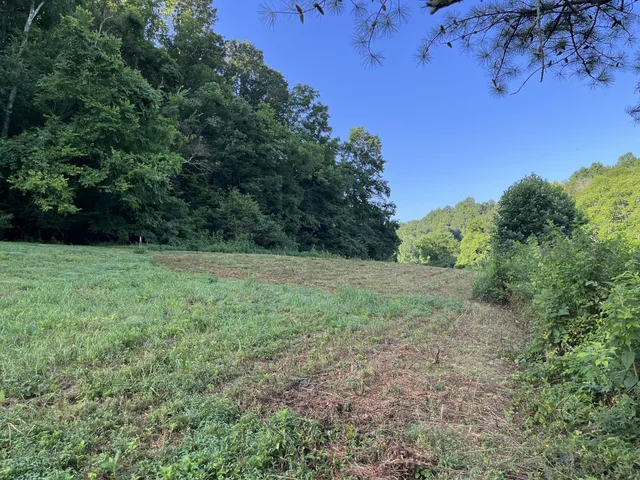 $167,500 | 0 East Cave Spring Road, Pulaski, TN 38478