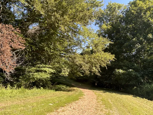 $167,500 | 0 East Cave Spring Road, Pulaski, TN 38478