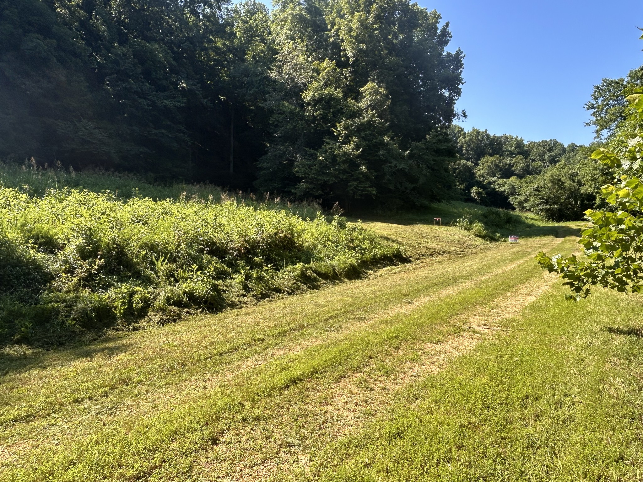 0 East Cave Spring Road Pulaski, TN 38478 - Photo 10 of 93