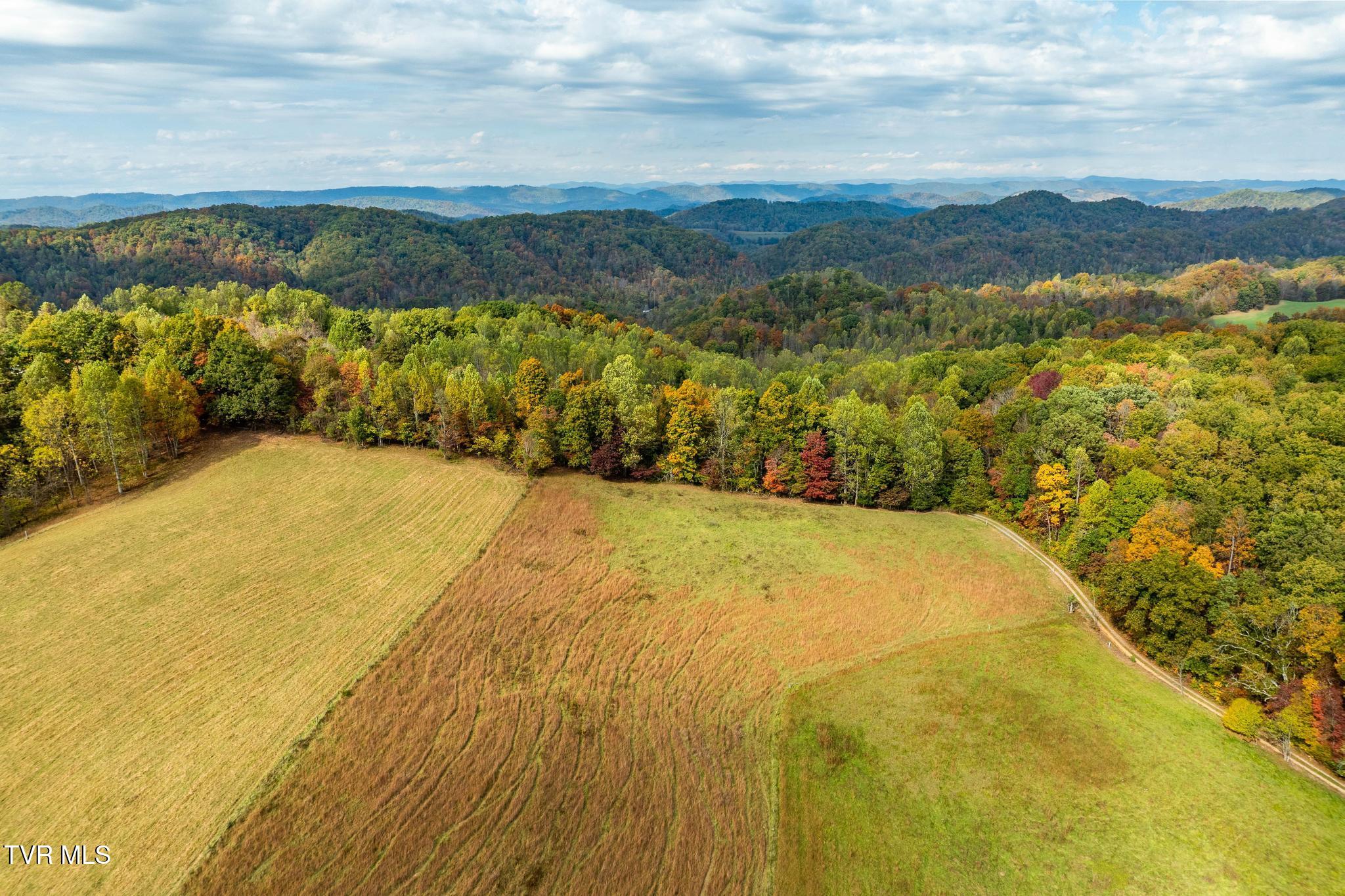 348 Clinch Valley Road Eidson, TN 37731 - Photo 60 of 120 348 Clinch Valley Rd (48 of 116)